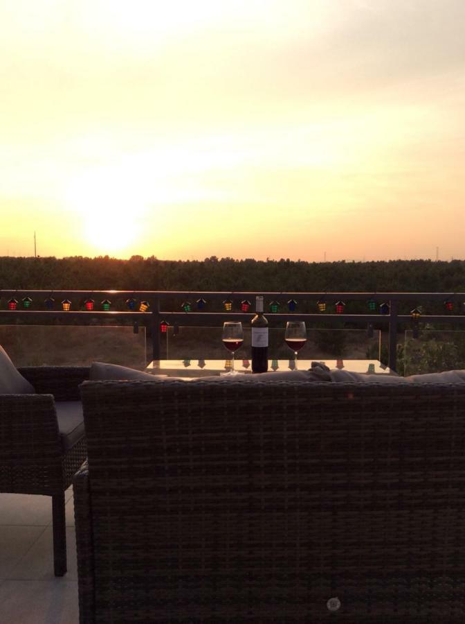 Paradise Terrace House Quinta do Conde エクステリア 写真